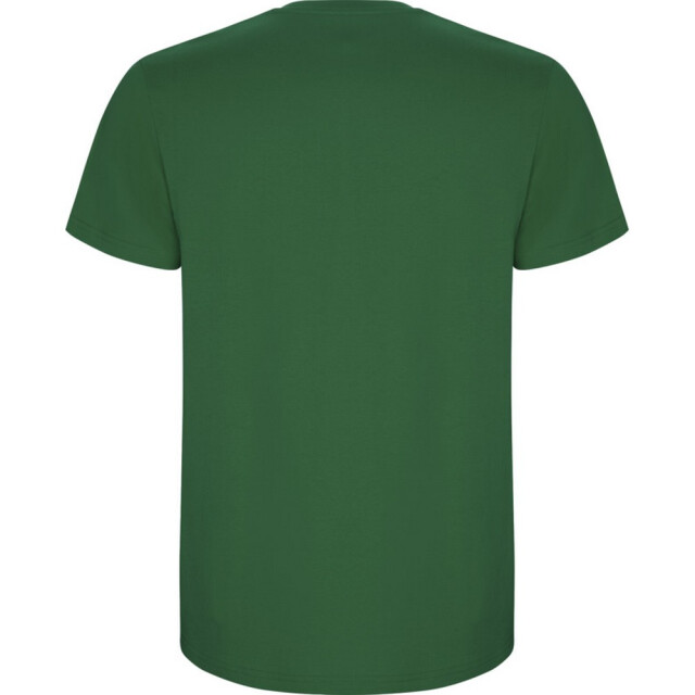 Roly Kinder/kinder stafford t-shirt met korte mouwen UTPF4336_kellygreen large