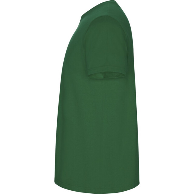 Roly Kinder/kinder stafford t-shirt met korte mouwen UTPF4336_kellygreen large