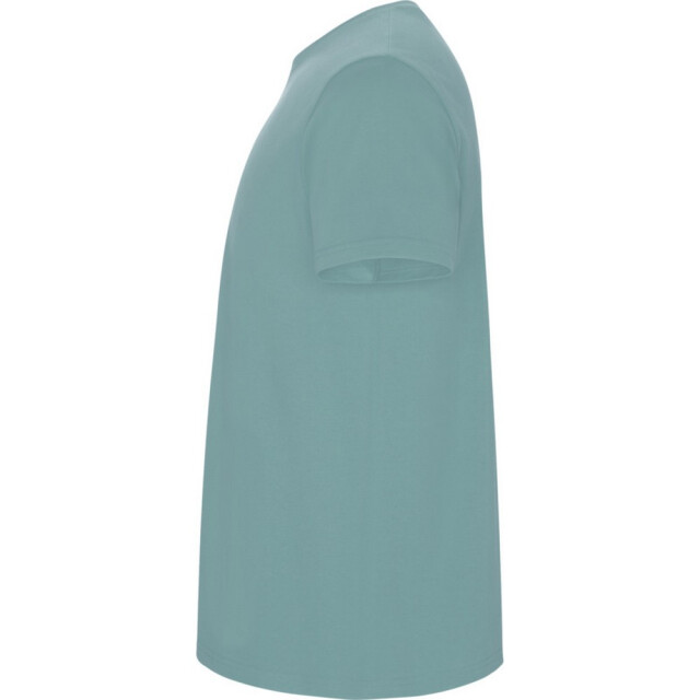 Roly Kinder/kinder stafford t-shirt met korte mouwen UTPF4336_dustyblue large