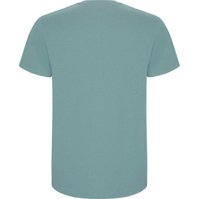 Roly Kinder/kinder stafford t-shirt met korte mouwen UTPF4336_dustyblue large