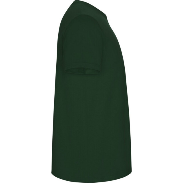 Roly Kinder/kinder stafford t-shirt met korte mouwen UTPF4336_bottlegreen large