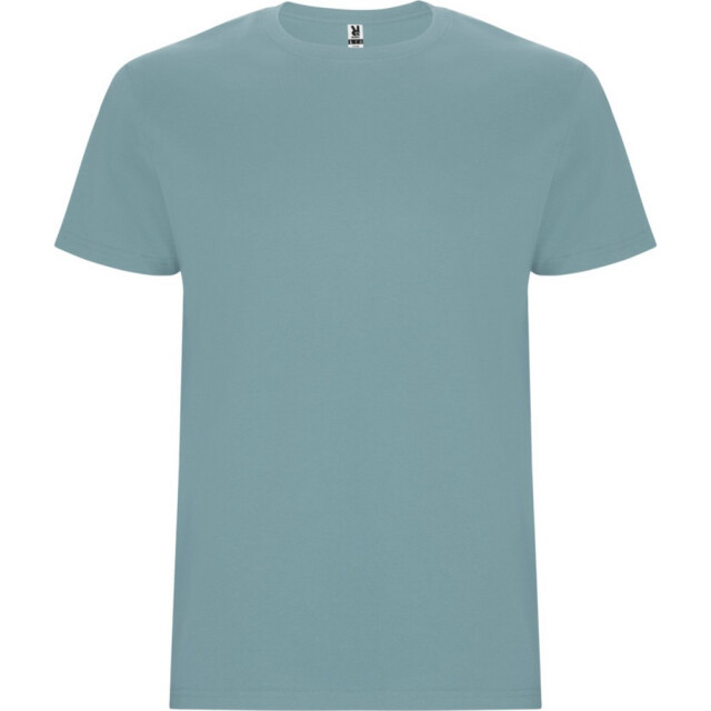 Roly Kinder/kinder stafford t-shirt met korte mouwen UTPF4336_dustyblue large