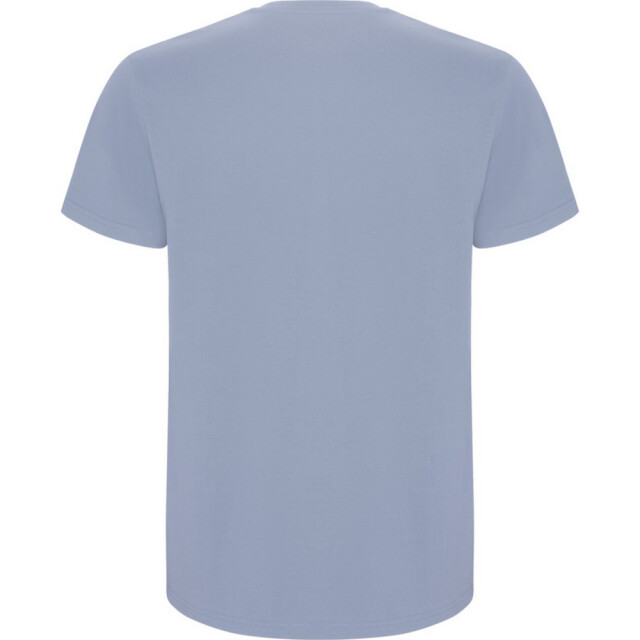 Roly Kinder/kinder stafford t-shirt met korte mouwen UTPF4336_zenblue large