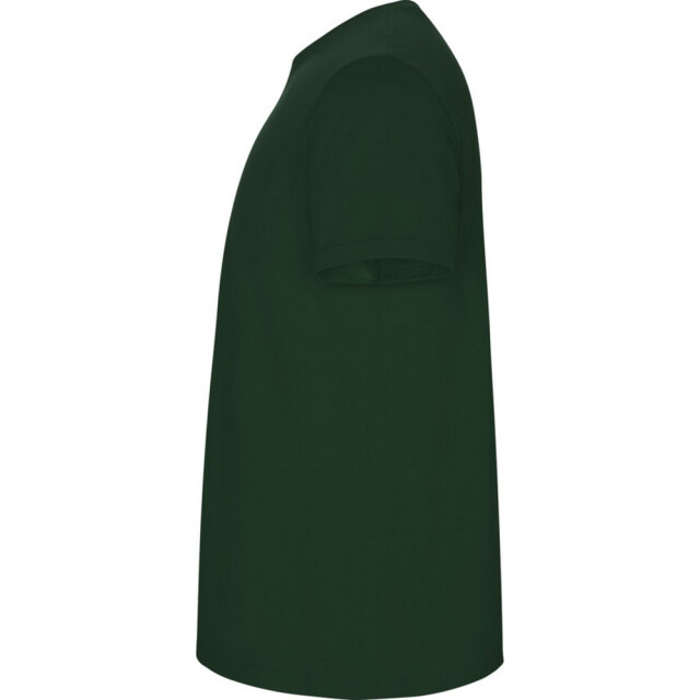 Roly Kinder/kinder stafford t-shirt met korte mouwen UTPF4336_bottlegreen large