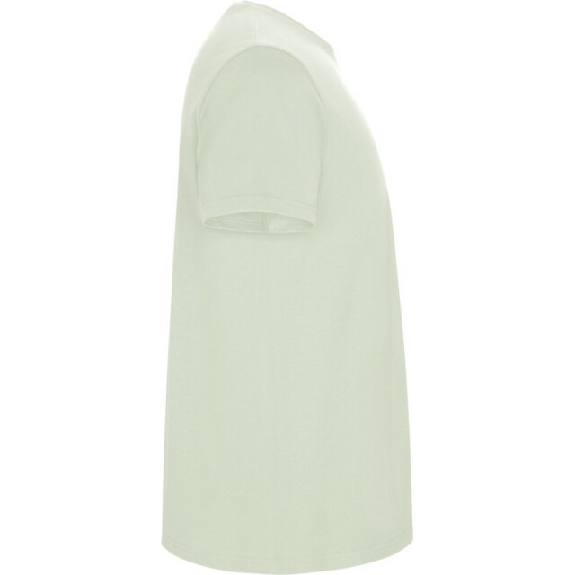 Roly Kinder/kinder stafford t-shirt met korte mouwen UTPF4336_mistgreen large