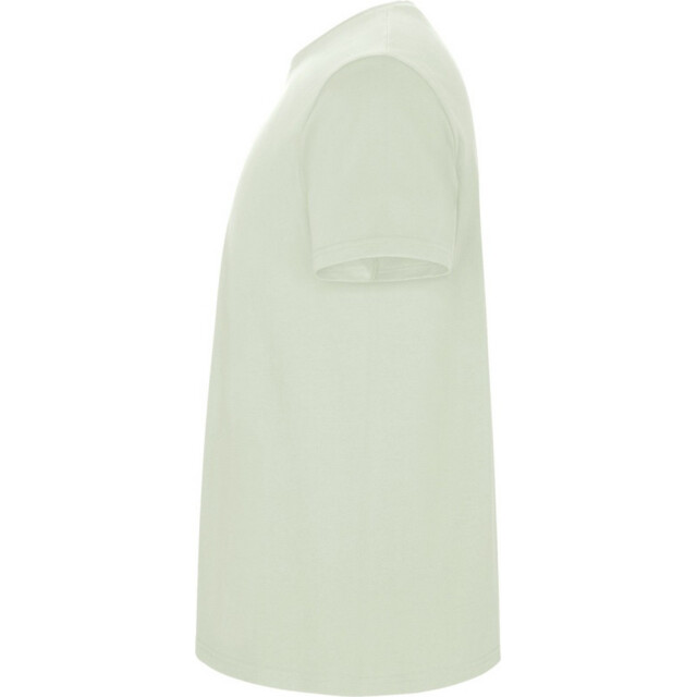Roly Kinder/kinder stafford t-shirt met korte mouwen UTPF4336_mistgreen large
