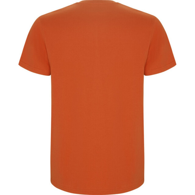 Roly Kinder/kinder stafford t-shirt met korte mouwen UTPF4336_orange large