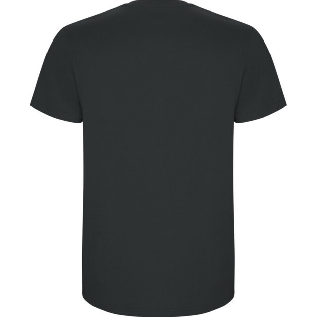 Roly Kinder/kinder stafford t-shirt met korte mouwen UTPF4336_darklead large