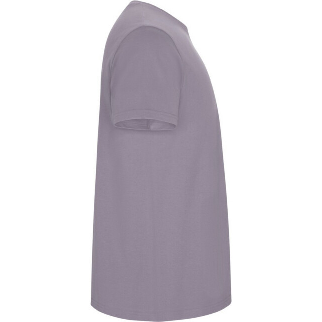 Roly Kinder/kinder stafford t-shirt met korte mouwen UTPF4336_lavender large