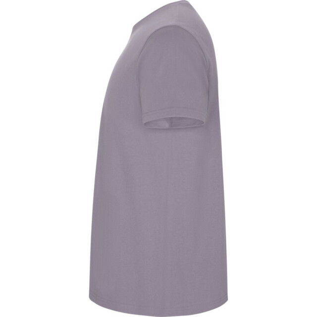 Roly Kinder/kinder stafford t-shirt met korte mouwen UTPF4336_lavender large