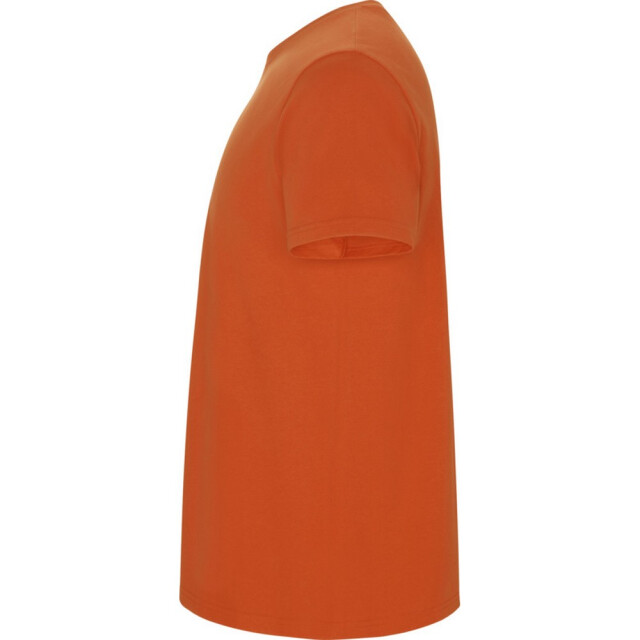 Roly Kinder/kinder stafford t-shirt met korte mouwen UTPF4336_orange large