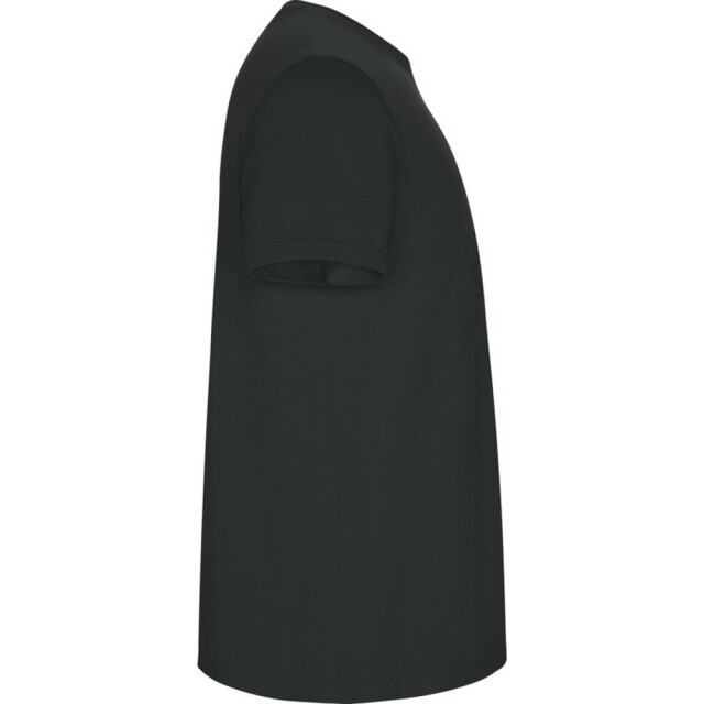 Roly Kinder/kinder stafford t-shirt met korte mouwen UTPF4336_darklead large