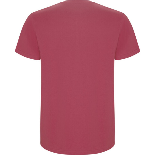 Roly Kinder/kinder stafford t-shirt met korte mouwen UTPF4336_chrysanthemumred large