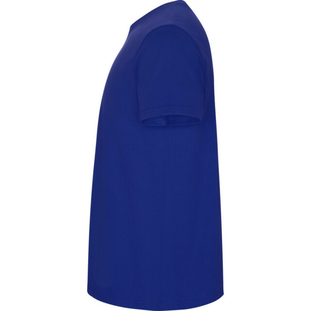 Roly Kinder/kinder stafford t-shirt met korte mouwen UTPF4336_royalblue large