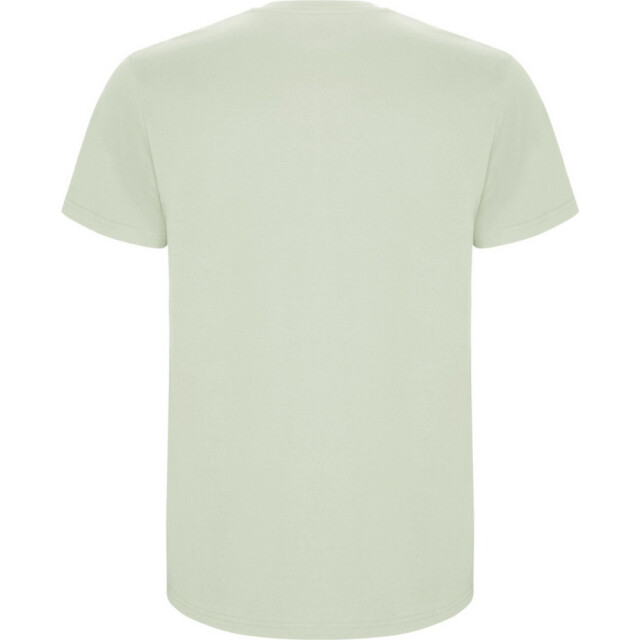 Roly Kinder/kinder stafford t-shirt met korte mouwen UTPF4336_mistgreen large