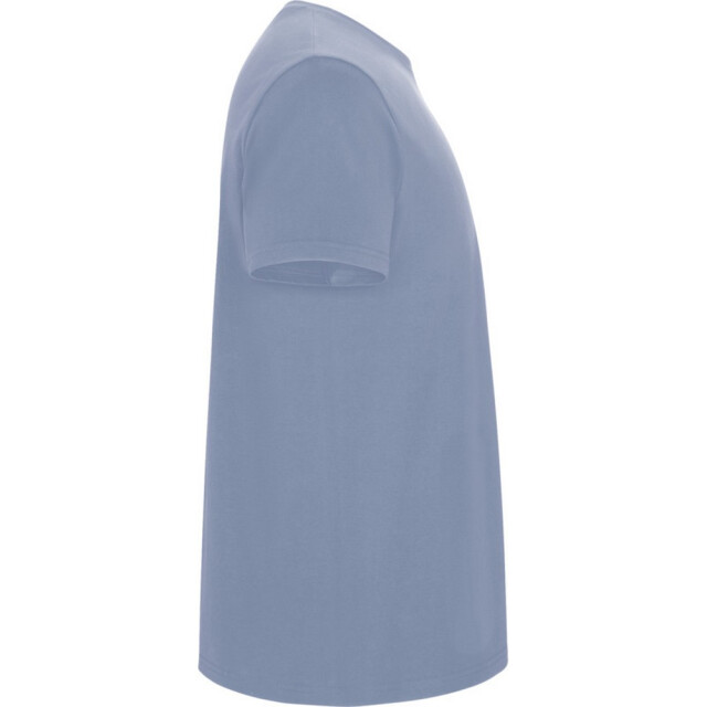 Roly Kinder/kinder stafford t-shirt met korte mouwen UTPF4336_zenblue large