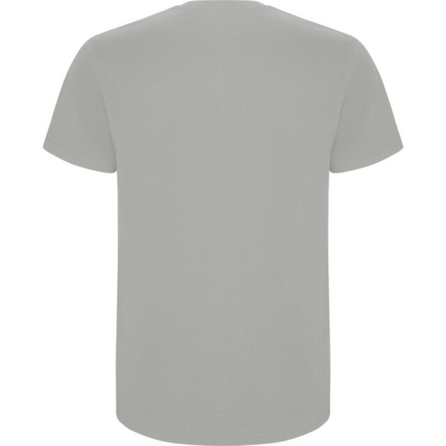 Roly Kinder/kinder stafford t-shirt met korte mouwen UTPF4336_opal large