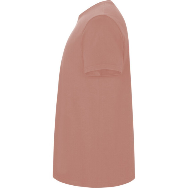 Roly Kinder/kinder stafford t-shirt met korte mouwen UTPF4336_clayorange large