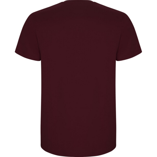 Roly Kinder/kinder stafford t-shirt met korte mouwen UTPF4336_garnet large