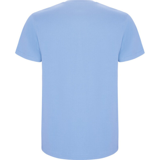 Roly Kinder/kinder stafford t-shirt met korte mouwen UTPF4336_skyblue large