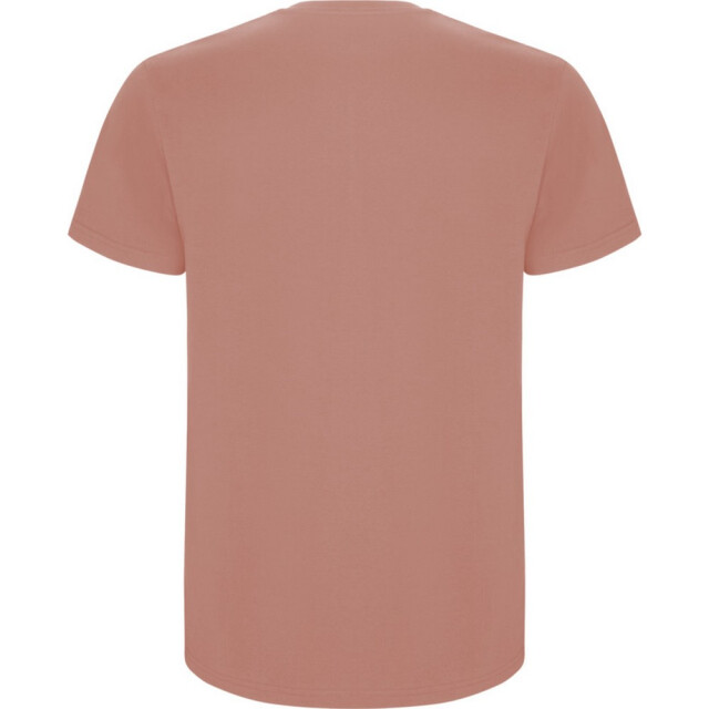 Roly Kinder/kinder stafford t-shirt met korte mouwen UTPF4336_clayorange large