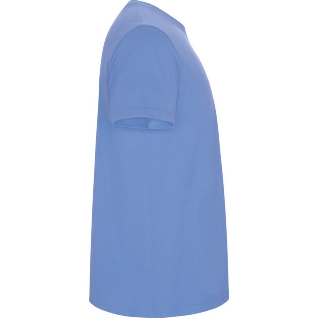 Roly Kinder/kinder stafford t-shirt met korte mouwen UTPF4336_skyblue large