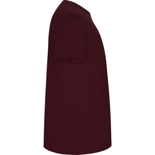 Roly Kinder/kinder stafford t-shirt met korte mouwen UTPF4336_garnet large