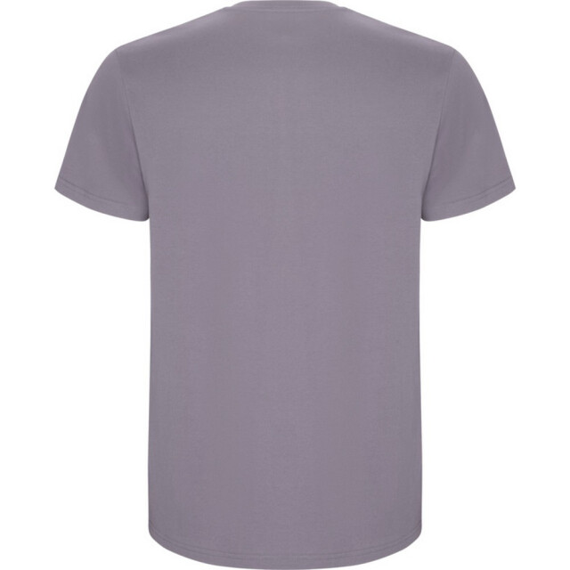 Roly Kinder/kinder stafford t-shirt met korte mouwen UTPF4336_lavender large