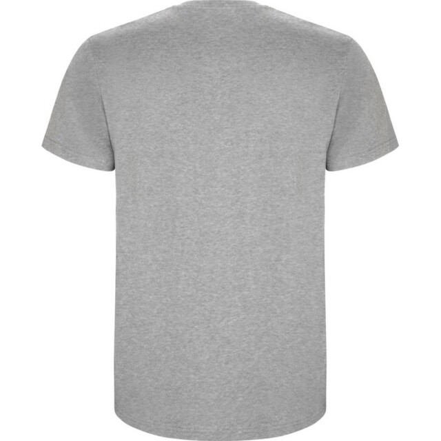 Roly Kinder/kinder stafford t-shirt met korte mouwen UTPF4336_greymarl large