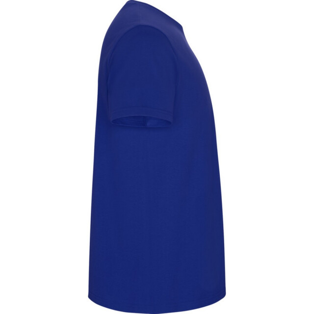 Roly Kinder/kinder stafford t-shirt met korte mouwen UTPF4336_royalblue large