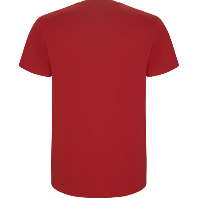 Roly Kinder/kinder stafford t-shirt met korte mouwen UTPF4336_red large