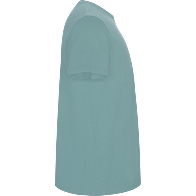 Roly Kinder/kinder stafford t-shirt met korte mouwen UTPF4336_dustyblue large