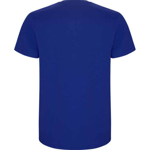 Roly Kinder/kinder stafford t-shirt met korte mouwen UTPF4336_royalblue large
