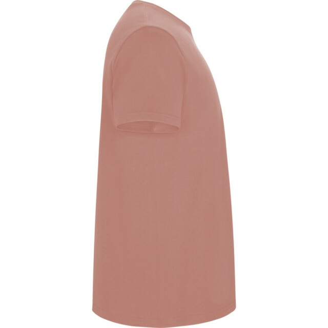 Roly Kinder/kinder stafford t-shirt met korte mouwen UTPF4336_clayorange large