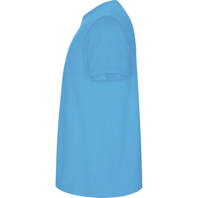 Roly Kinder/kinder stafford t-shirt met korte mouwen UTPF4336_turquoise large