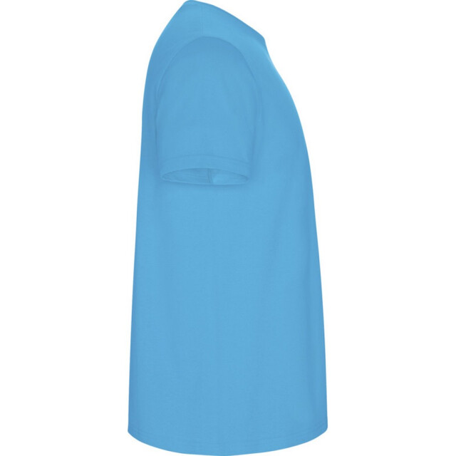 Roly Kinder/kinder stafford t-shirt met korte mouwen UTPF4336_turquoise large