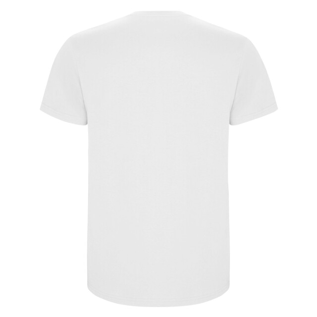 Roly Kinder/kinder stafford t-shirt met korte mouwen UTPF4336_white large