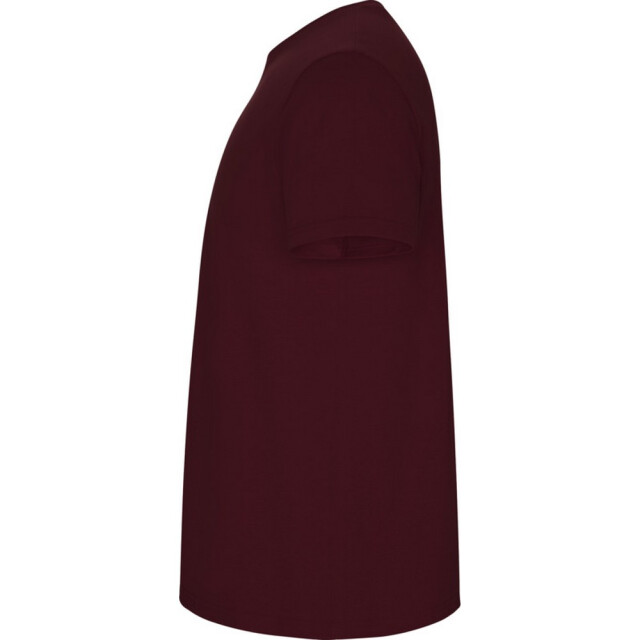 Roly Kinder/kinder stafford t-shirt met korte mouwen UTPF4336_garnet large