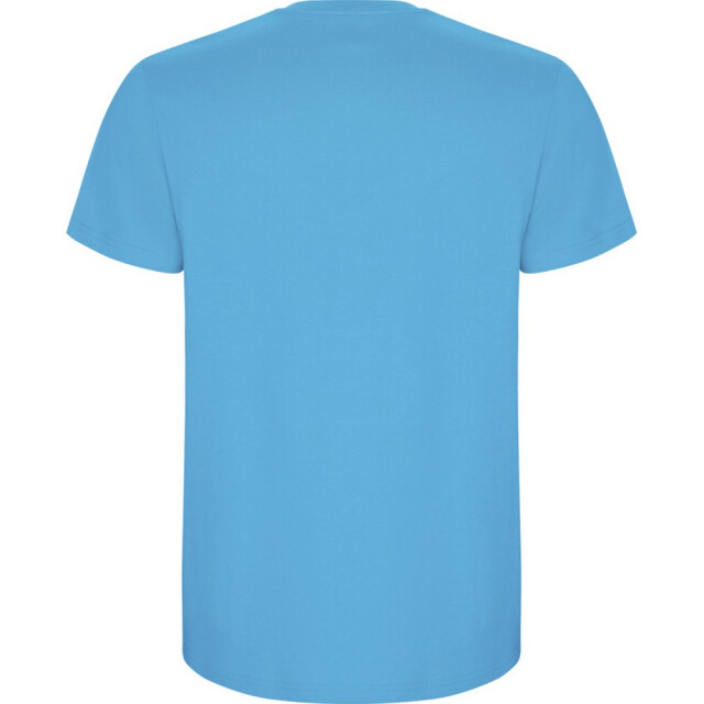 Roly Kinder/kinder stafford t-shirt met korte mouwen UTPF4336_turquoise large