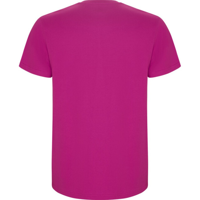 Roly Kinder/kinder stafford t-shirt met korte mouwen UTPF4336_rosette large