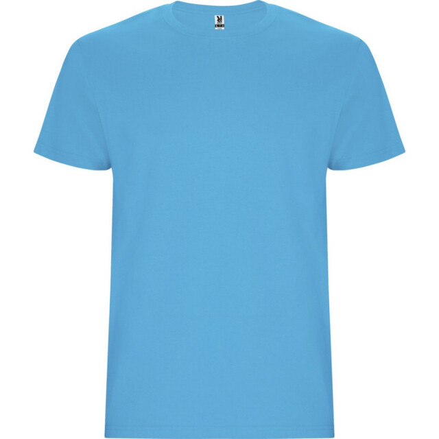 Roly Kinder/kinder stafford t-shirt met korte mouwen UTPF4336_turquoise large