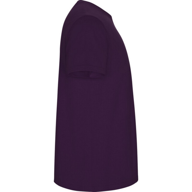 Roly Kinder/kinder stafford t-shirt met korte mouwen UTPF4336_purple large