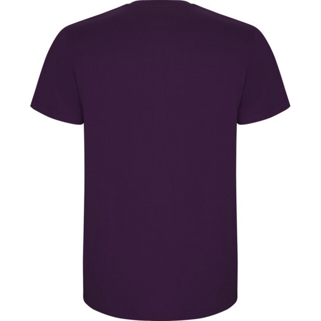 Roly Kinder/kinder stafford t-shirt met korte mouwen UTPF4336_purple large