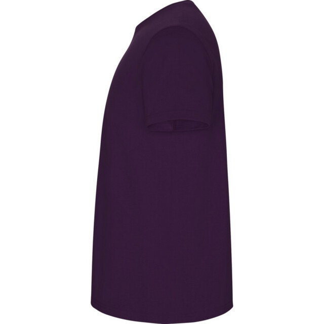 Roly Kinder/kinder stafford t-shirt met korte mouwen UTPF4336_purple large