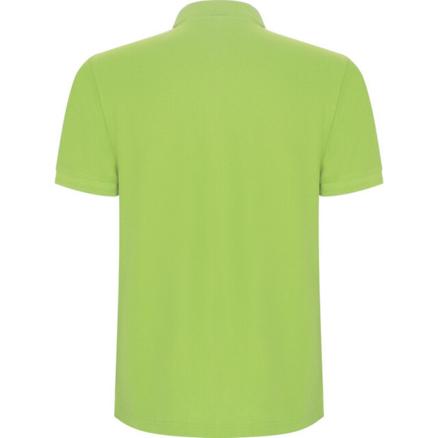 Roly Pegaso premium poloshirt met korte mouwen voor kinderen/kinderen UTPF4544_mantisgreen large