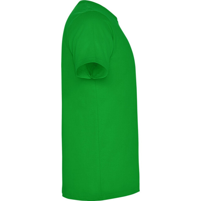 Roly Kinderen/kinderen dogo t-shirt UTPF4506_grassgreen large