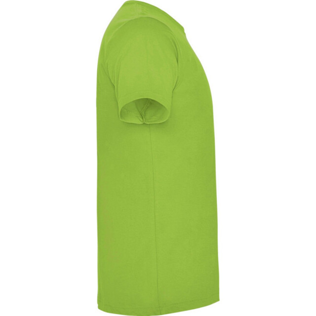 Roly Kinderen/kinderen dogo t-shirt UTPF4506_oasisgreen large