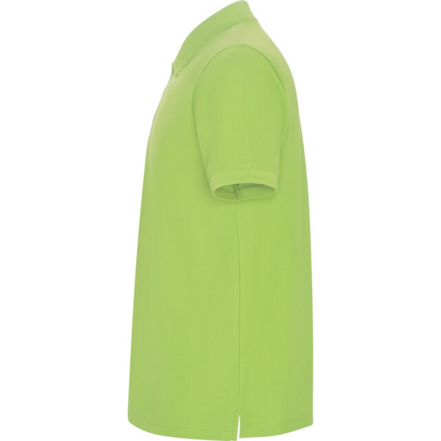 Roly Pegaso premium poloshirt met korte mouwen voor kinderen/kinderen UTPF4544_mantisgreen large
