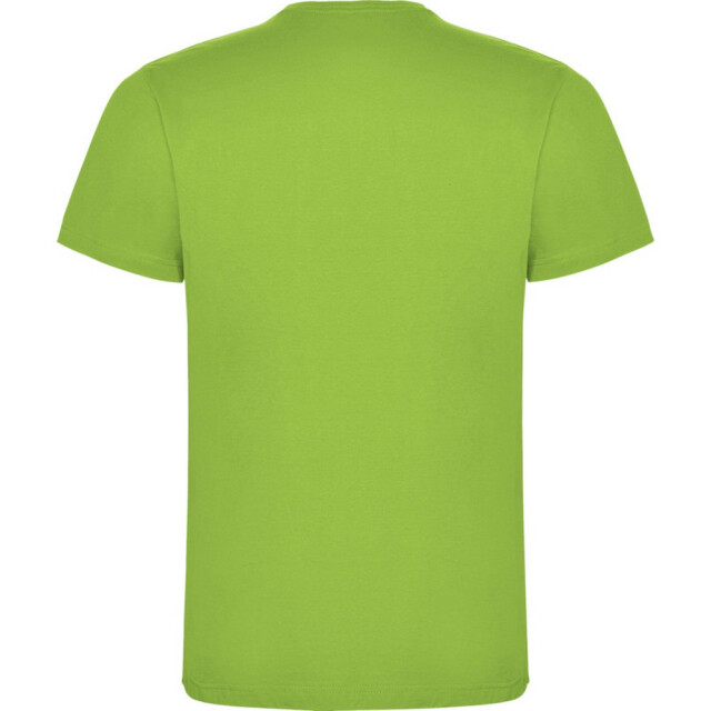 Roly Kinderen/kinderen dogo t-shirt UTPF4506_oasisgreen large