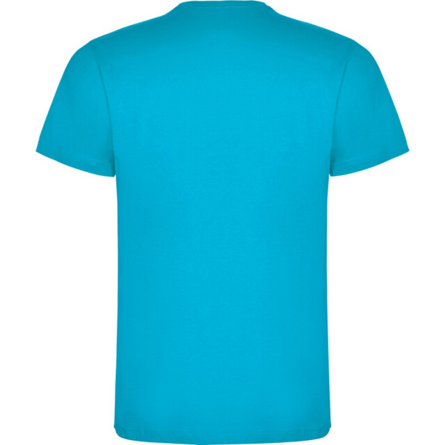 Roly Kinderen/kinderen dogo t-shirt UTPF4506_turquoise large